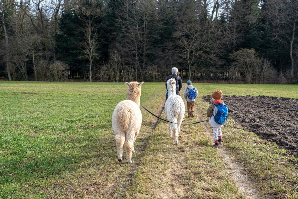 Gruppenunterkunft Mit Billardtisch Und Lamatrekking Meikirch Exteriér fotografie
